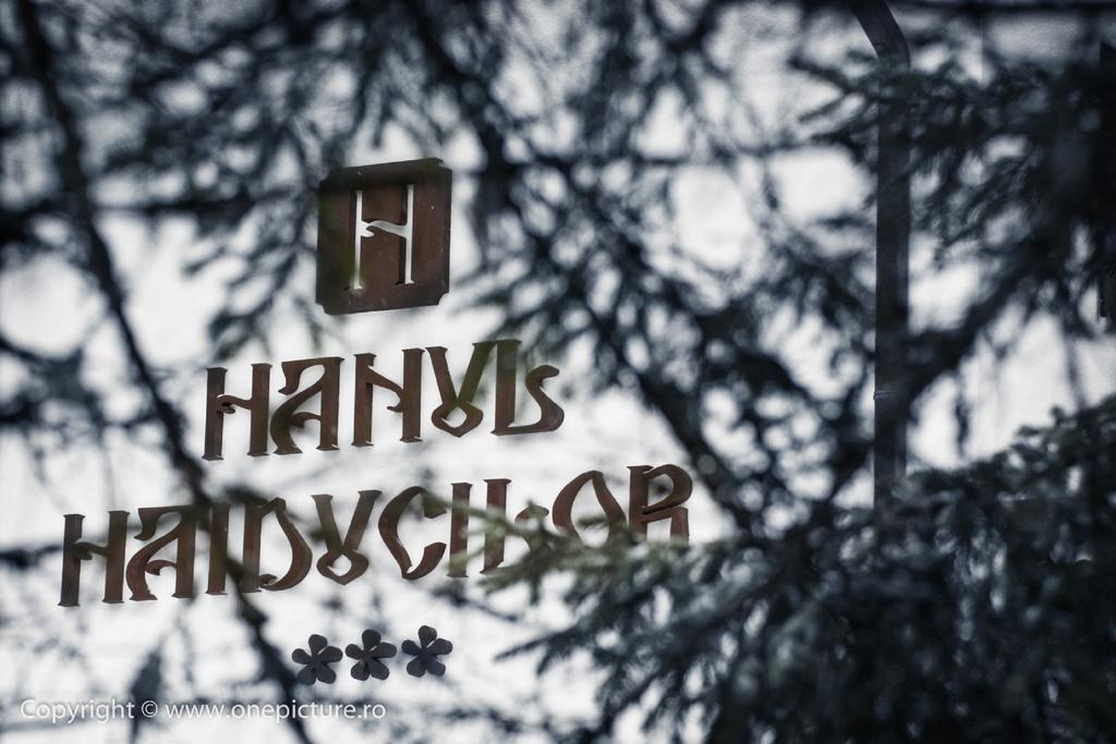 Hanul Haiducilor Обиршія-Лотрулуй Номер фото
